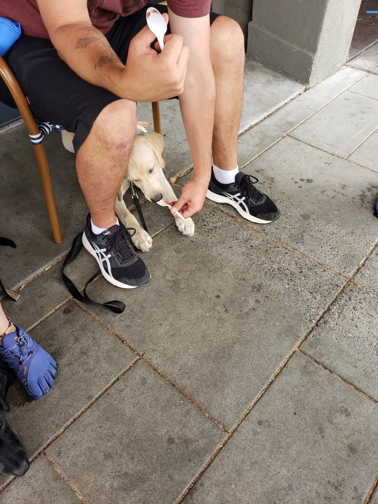 rs=w_2560,h_1920 (4)