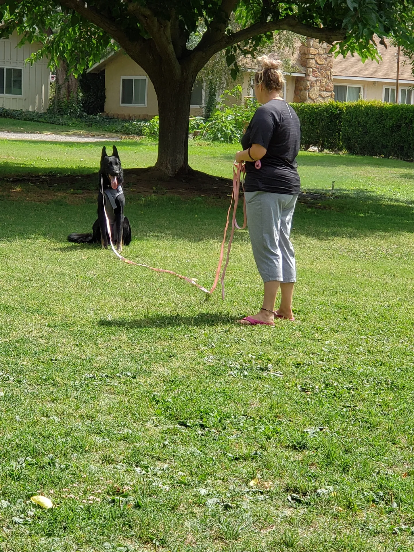 rs=w_2560,h_1920 (5)