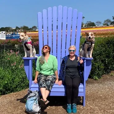 rs=w_370,cg_true,m (4)